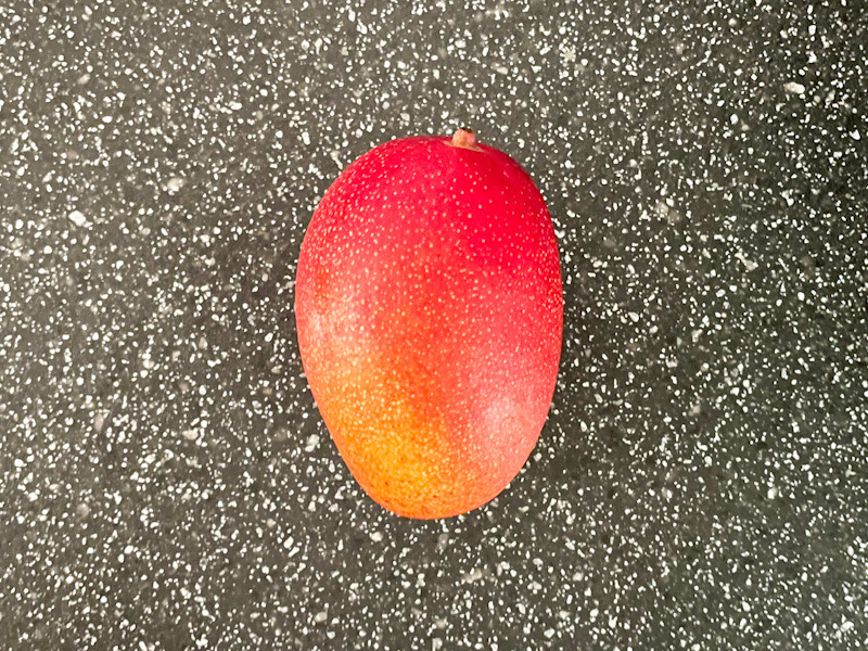 宮崎産完熟マンゴー 太陽のタマゴ